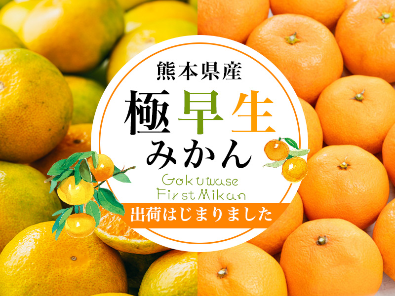 極早生みかん"