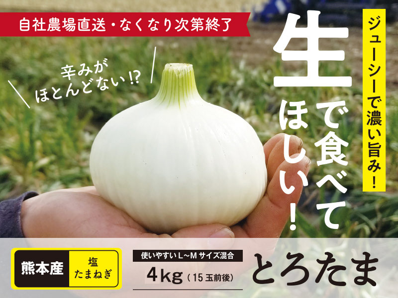 トマト|岐阜|【JAタウン】産地直送 通販 お取り寄せ