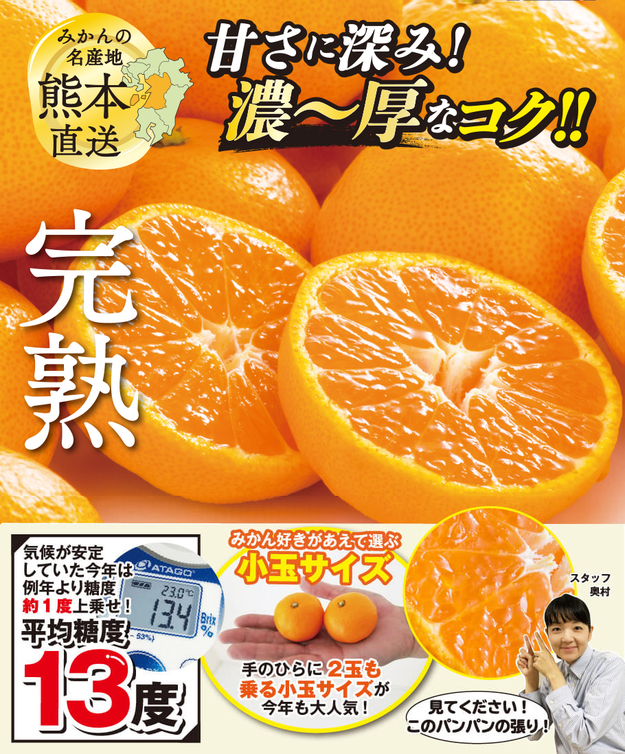 完熟濃蜜小みかん 約5kg 40 80玉入り M 2sサイズ 送料無料 とっぺん市場