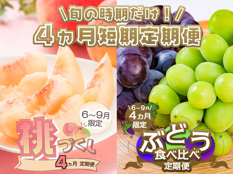 桃ぶどう短期定期便
