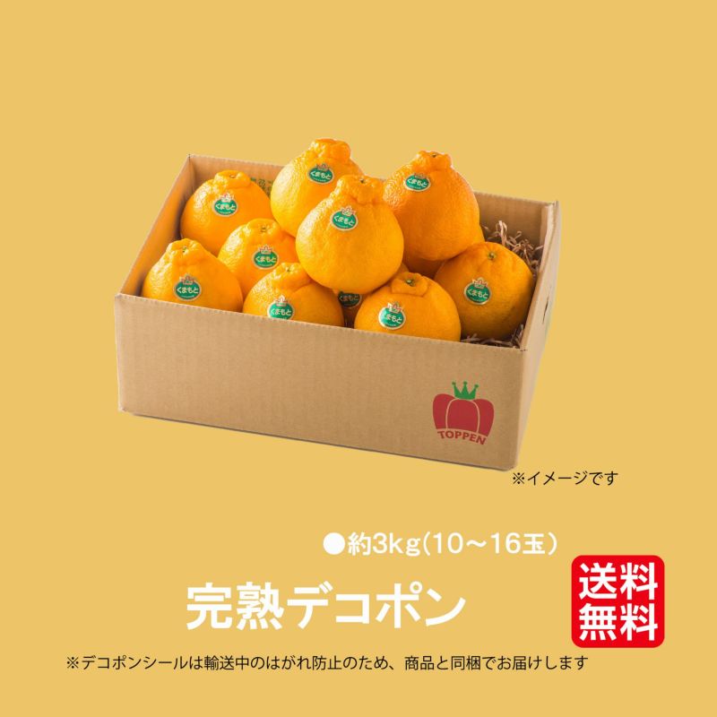 完熟 デコポン 約3kg（10～16玉）【送料無料】