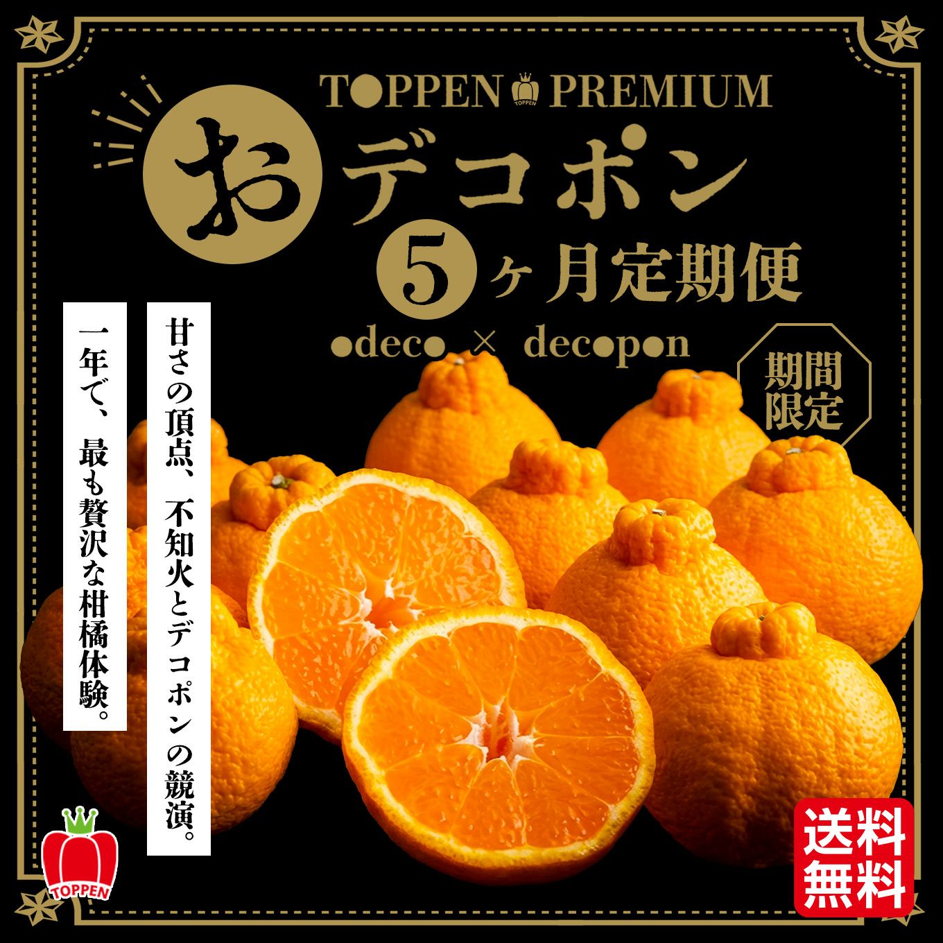 おでこ＆デコポン短期定期便（１～５月限定/月1回お届け 価格は毎月一律）送料無料