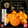 おでこ＆デコポン短期定期便（１～５月限定/月1回お届け 価格は毎月一律）送料無料