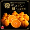 おでこ＆デコポン短期定期便（１～５月限定/月1回お届け 価格は毎月一律）送料無料