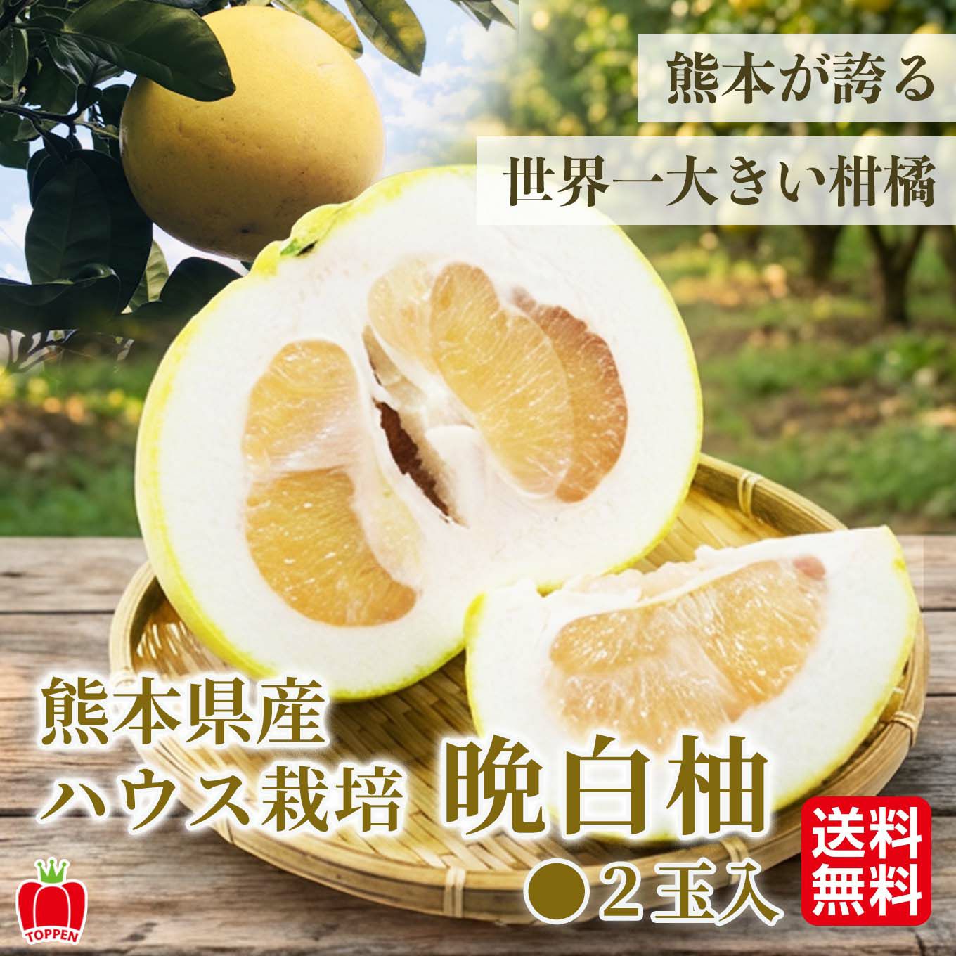 熊本県産　ハウス栽培　晩白柚　2玉入（１玉：1.6ｋｇ以上）【送料無料】