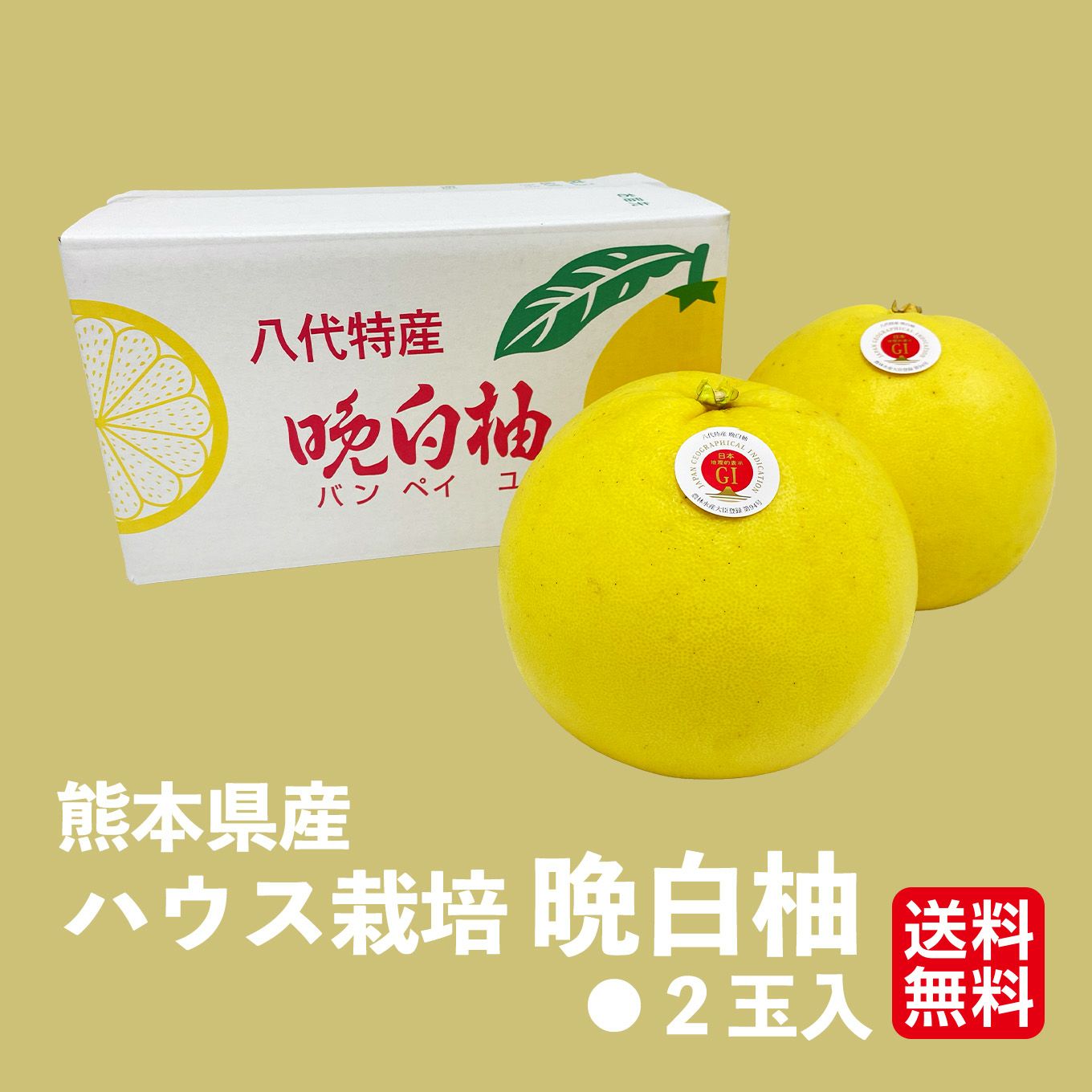 熊本県産　ハウス栽培　晩白柚　2玉入（１玉：1.6ｋｇ以上）【送料無料】