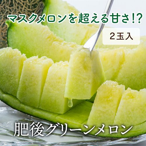 熊本の隠れた名品！肥後グリーンメロン （2玉入）【送料無料】