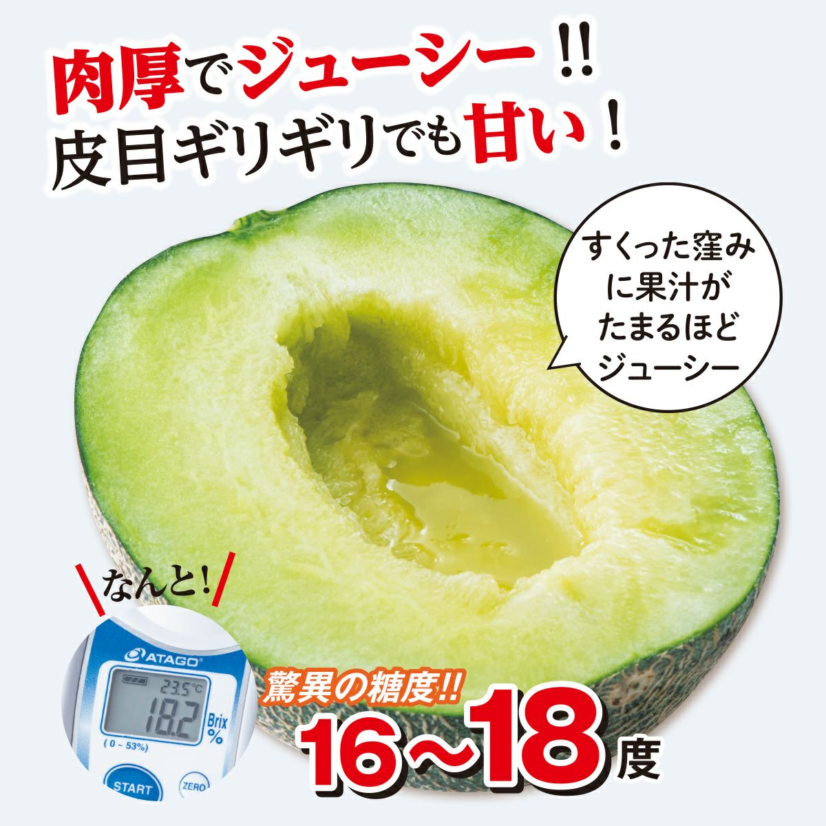 熊本の隠れた名品！肥後グリーンメロン （2玉入）【送料無料】