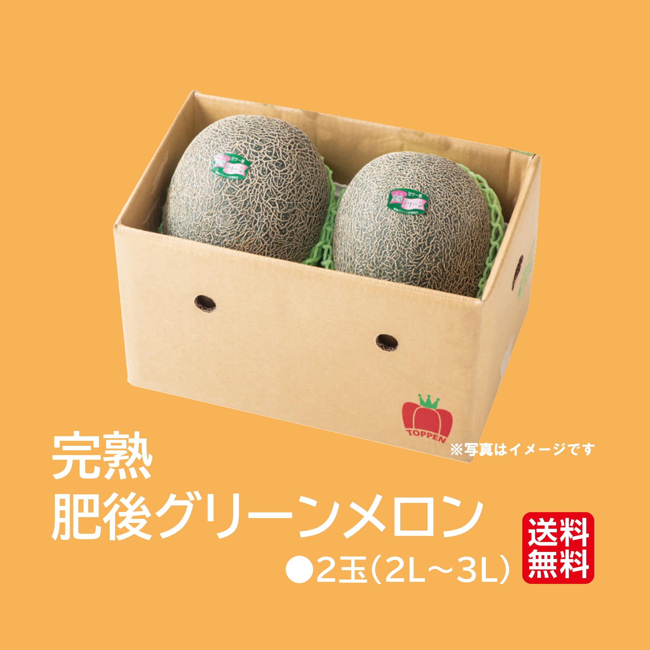 熊本の隠れた名品！肥後グリーンメロン （2玉入）【送料無料】