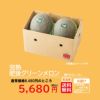 熊本の隠れた名品！肥後グリーンメロン （2玉入）【送料無料】
