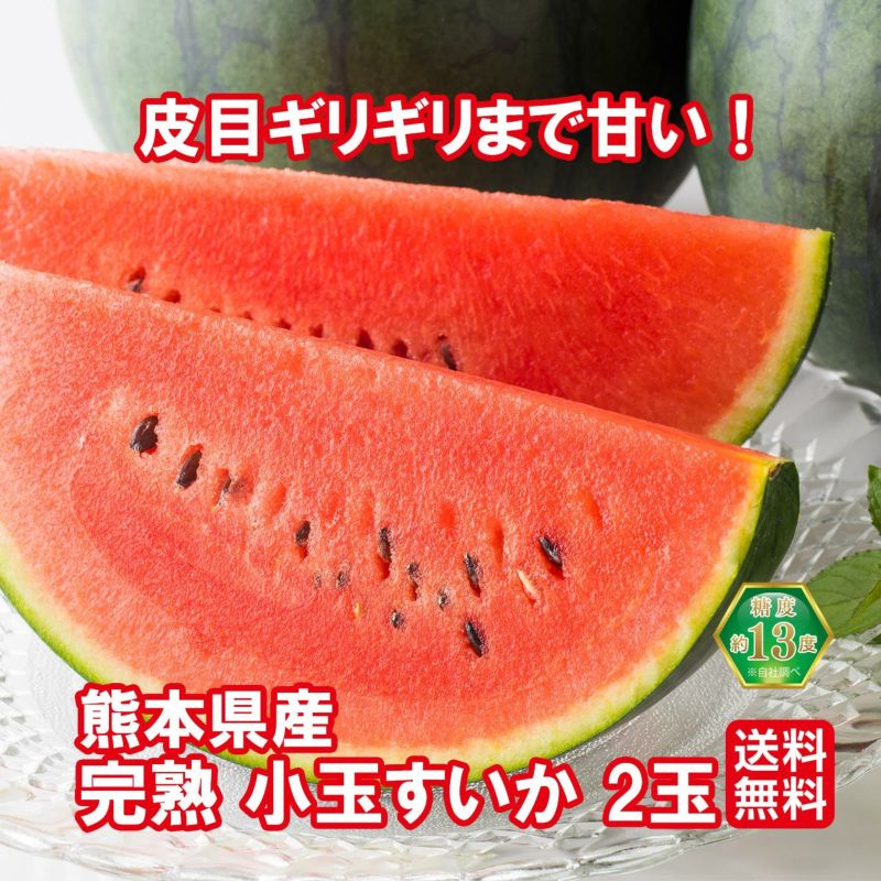少人数家族にもおススメ！熊本県産 小玉すいか 2玉【送料無料