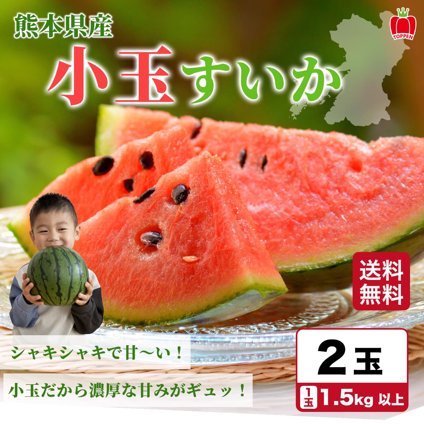 少人数家族にもおススメ！熊本県産 小玉すいか 2玉【送料無料
