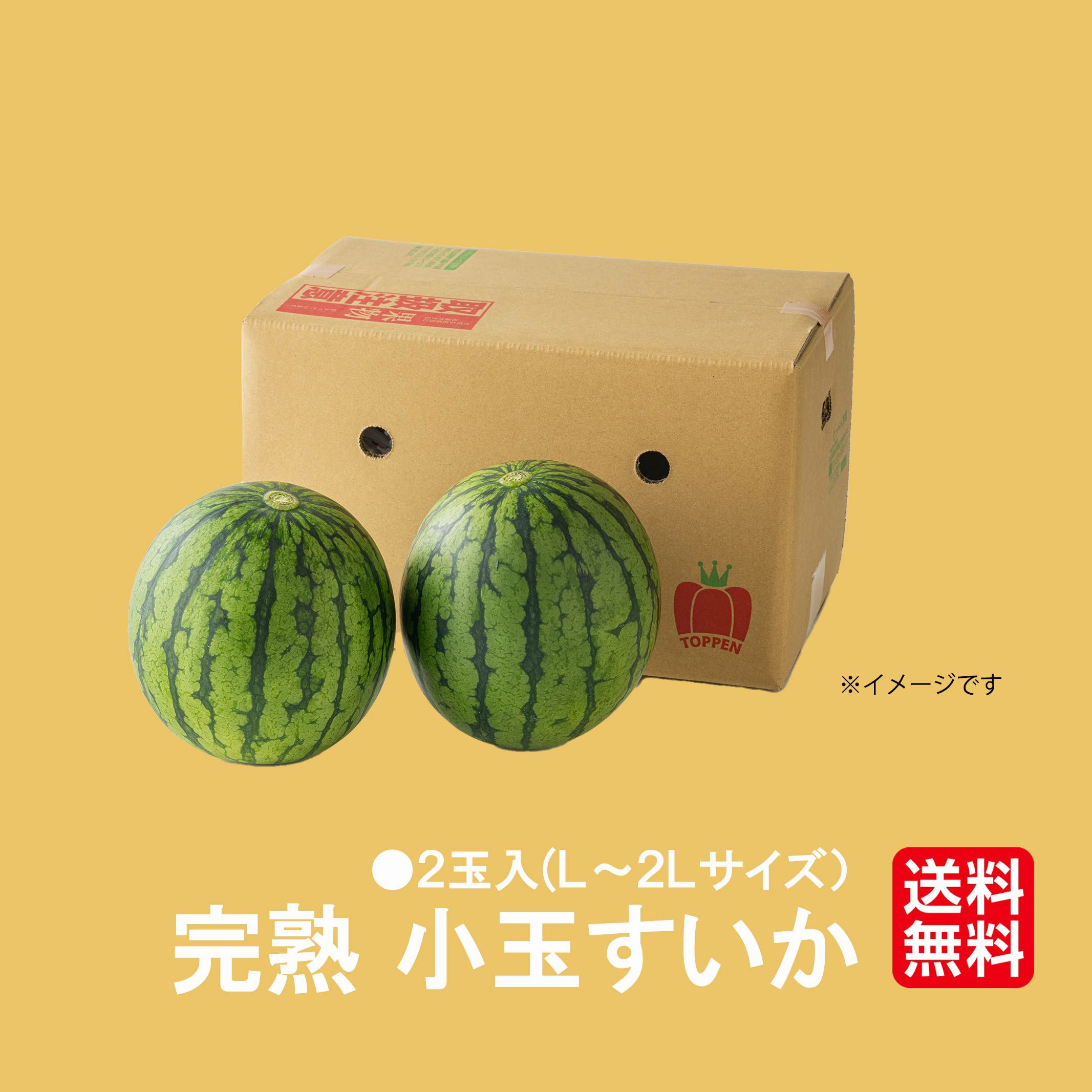 少人数家族にもおススメ！熊本県産 小玉すいか 2玉【送料無料