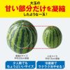 少人数家族にもおススメ！熊本県産 小玉すいか 2玉【送料無料