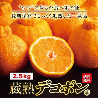 みかん様 ご専用ページです(*ˊᵕˋ*) - メルカリ