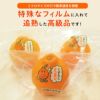 蔵熟デコポン