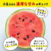 どっちも食べたい！ 小玉すいか＆肥後グリーンメロンセット【送料無料】