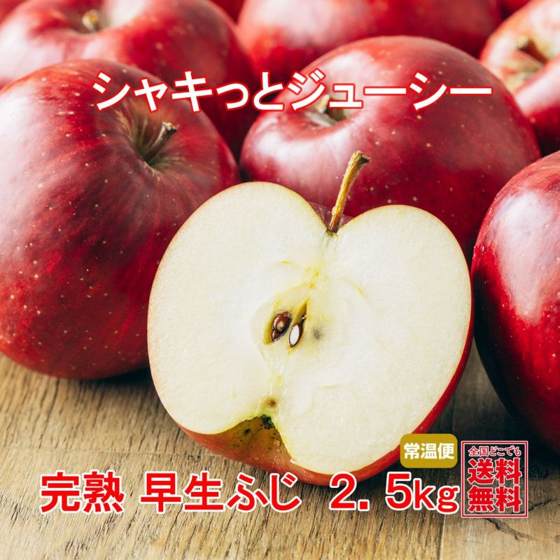完熟　早生ふじ　りんご 約2.5kg（7～10玉入）【送料無料】