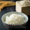 令和６年度産　 阿蘇コシヒカリ 5kg