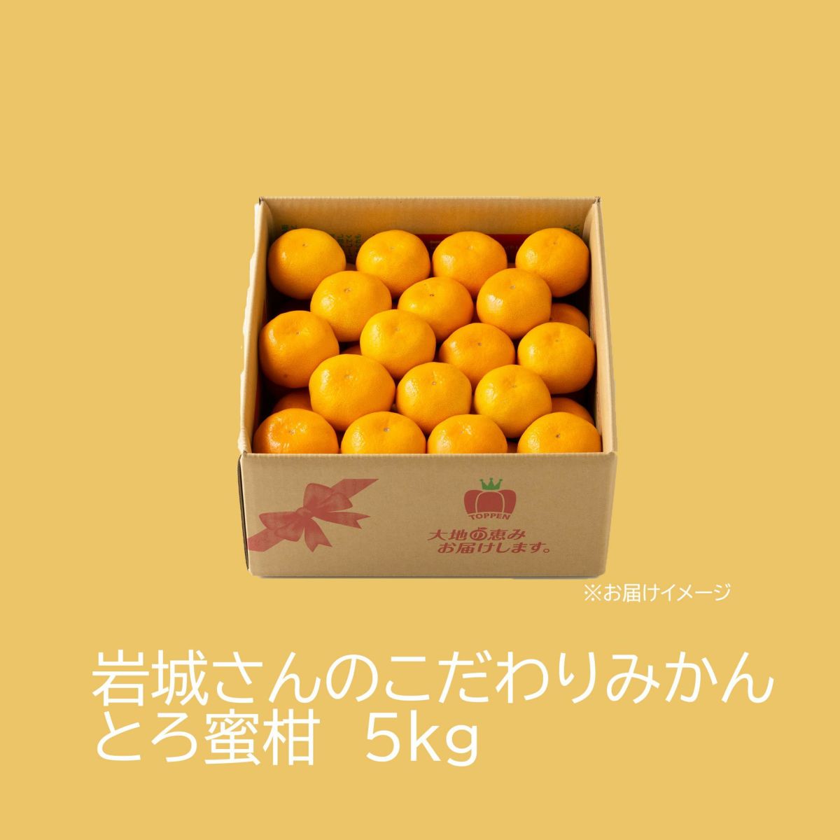 岩城さんのこだわりみかん“とろ蜜柑” 5kg（50～90玉／L～Sサイズ）【送料無料】