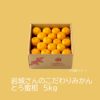 岩城さんのこだわりみかん“とろ蜜柑” 5kg（50～90玉／L～Sサイズ）【送料無料】
