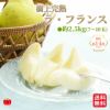 とろーり滑らか洋梨の女王　樹上完熟ラ・フランス２．５ｋｇ