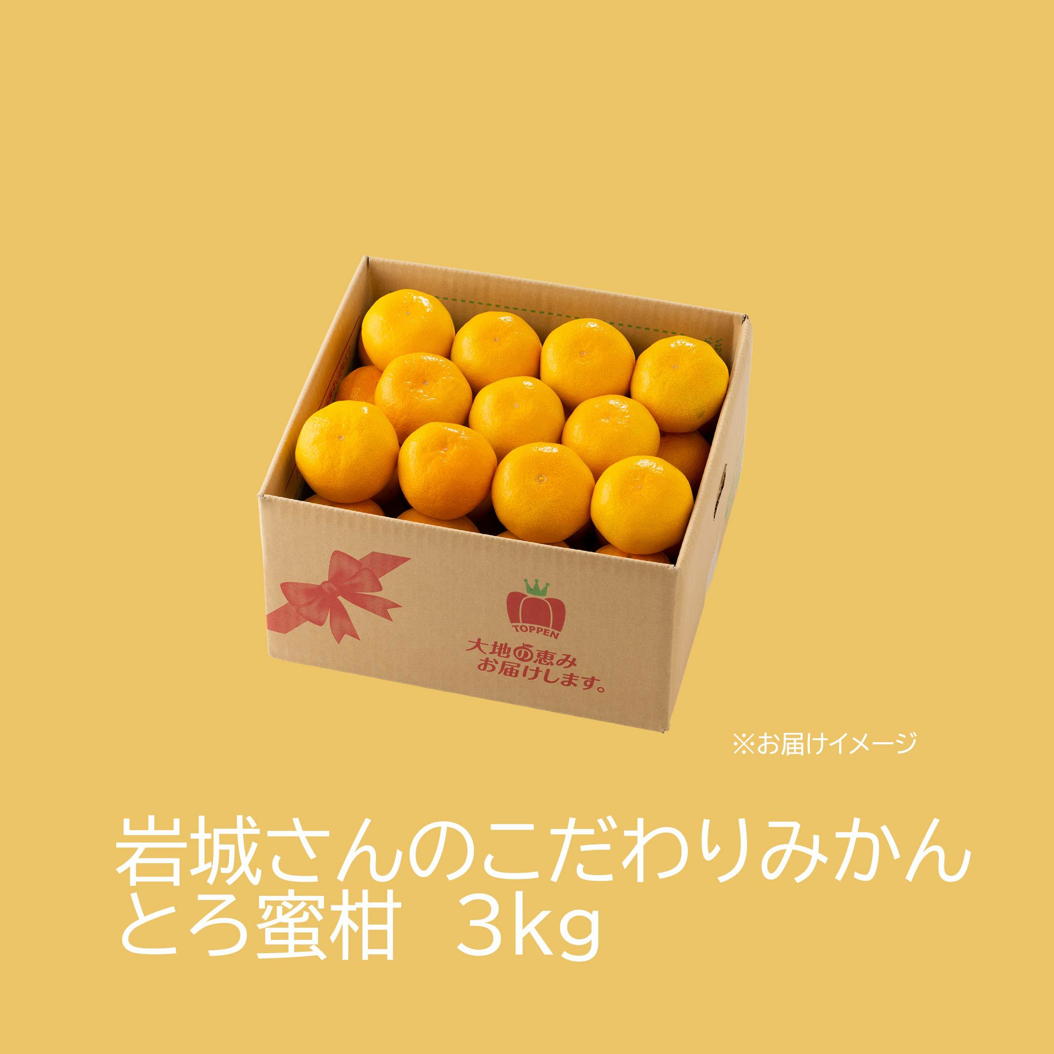  岩城さんのこだわりみかん“とろ蜜柑” 約3kg【送料無料】