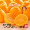 熊本県産　ハウスデコポン　約1.8kg（6～8玉／化粧箱入）【送料無料】