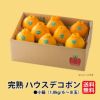 熊本県産　ハウスデコポン　約1.8kg（6～8玉／化粧箱入）【送料無料】