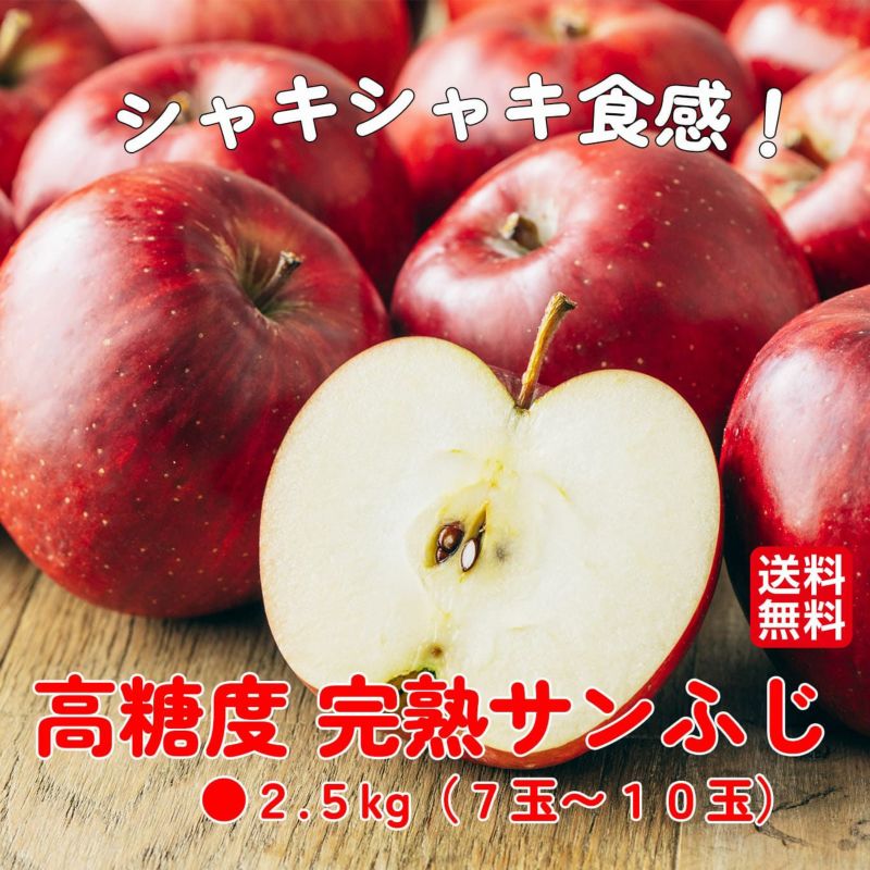 高糖度 完熟サンふじりんご 約2.5kg（7〜10玉前後）【送料無料】