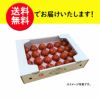 弾ける美味しさ！完熟　極甘トマト　（約１ｋｇ／18～24玉）