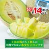 ≪2025年父の日限定ギフト≫ 小玉すいか＆アールスメロンセット【送料無料】