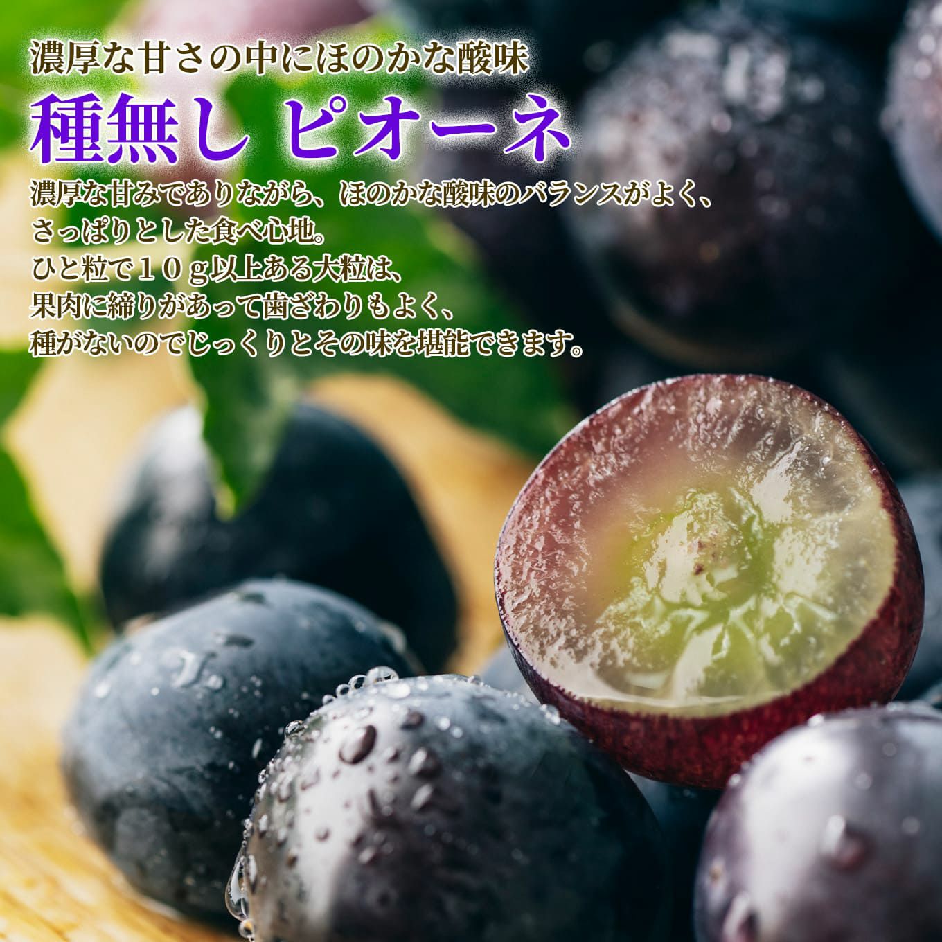 シャインマスカット＆種無しピオーネセット（各１房ずつ／1房：500ｇ前後） 【送料無料】