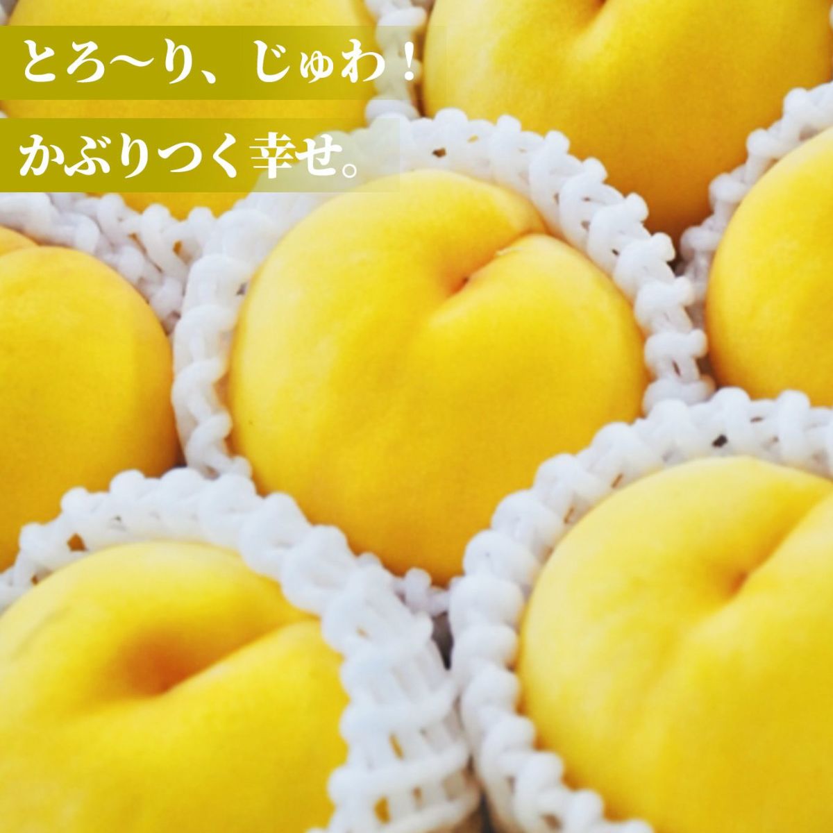 長野県産　完熟　黄金桃 約1.8kg