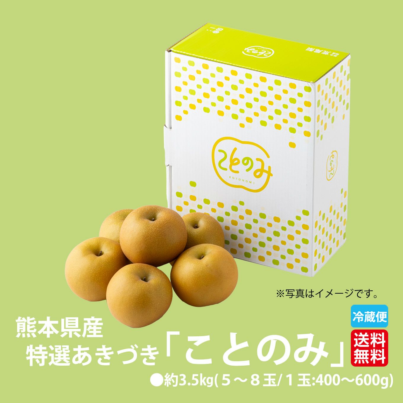 生産者指定｜≪化粧箱入≫特選あきづき「ことのみ」 約3.5kg（5～8玉入／1玉：400～600ｇ）【送料無料】