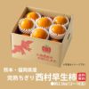  完熟ちぎり　西村早生柿　約2.5ｋｇ（12～18玉）