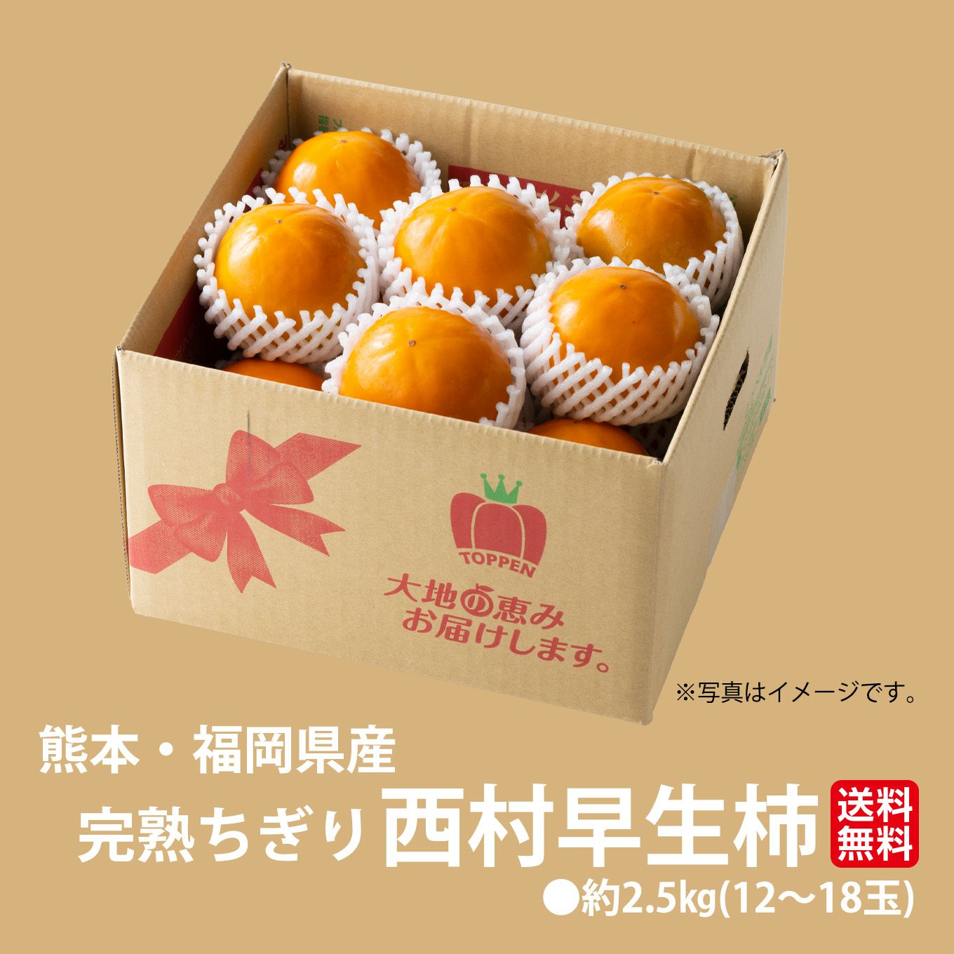  完熟ちぎり　西村早生柿　約2.5ｋｇ（12～18玉）