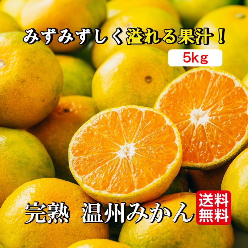 完熟　温州みかん 約5kg（50～90玉入り M～2Sサイズ）【送料無料】