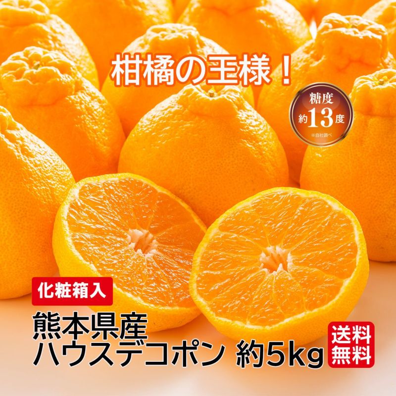 熊本県産　完熟ハウスデコポン　約5kg（15～20玉前後）【送料無料