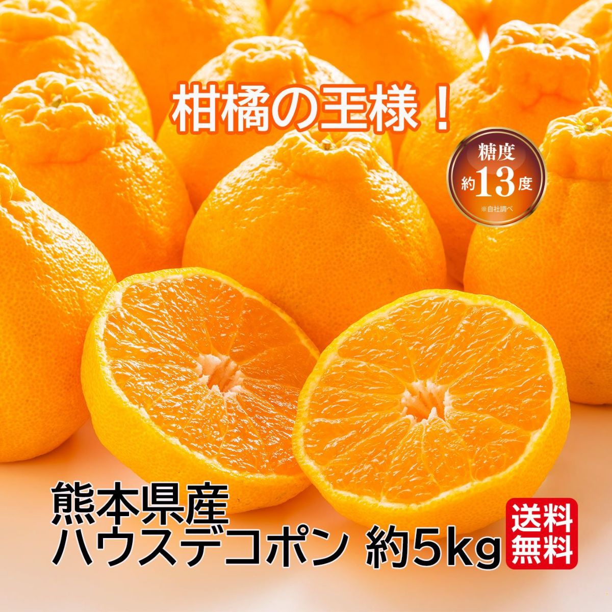 熊本県産　完熟ハウスデコポン　約5kg（15～20玉前後）【送料無料