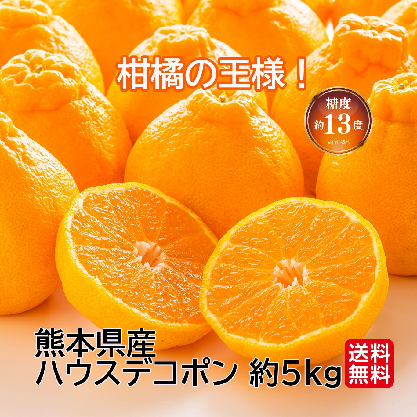 熊本県産　完熟ハウスデコポン　約5kg（15～20玉前後）【送料無料