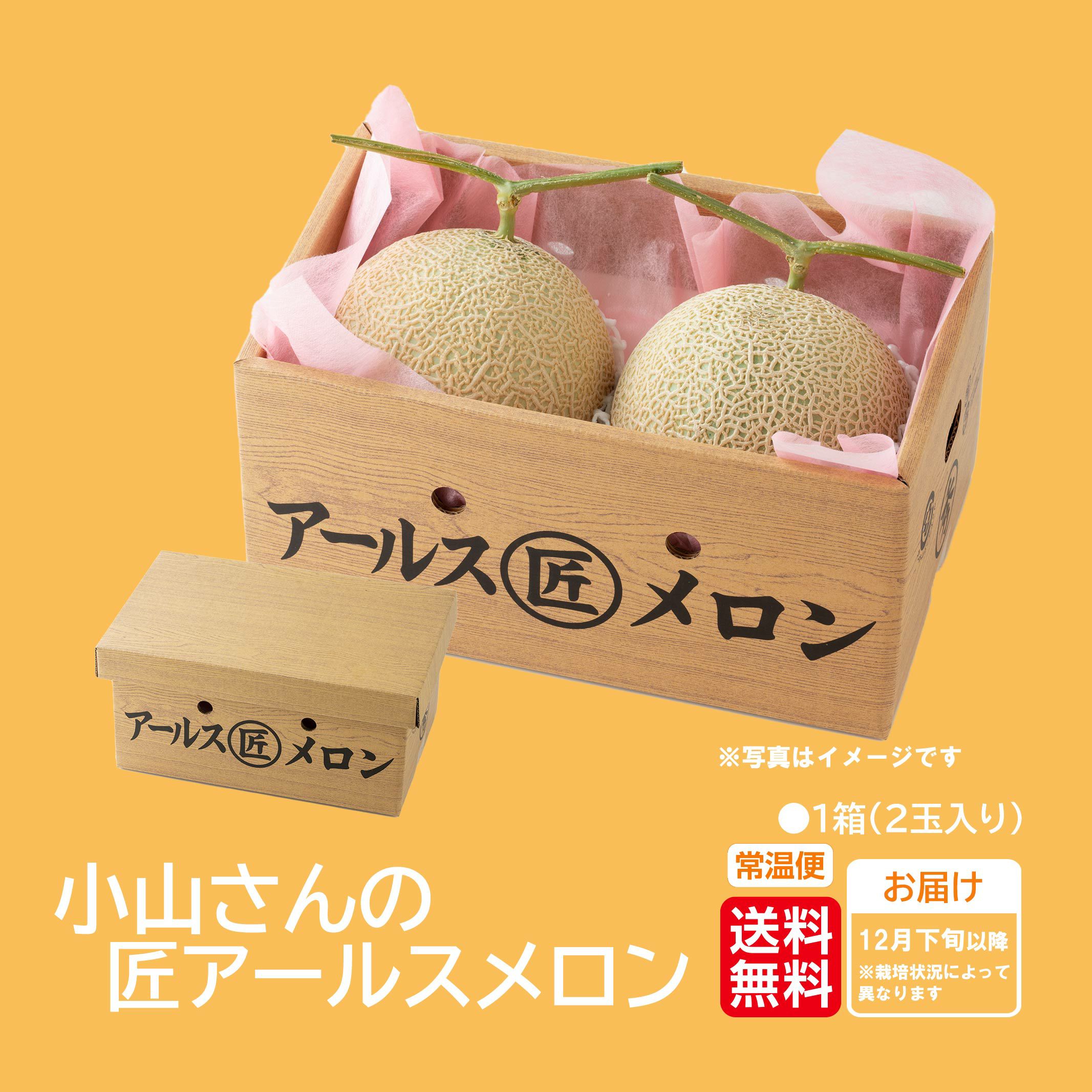 小山さんの完熟アールスメロン 2玉入り【送料無料】