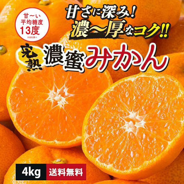 熊本県産　完熟濃蜜みかん 約4kg（25～70玉入り ２Ｓ～２Lサイズ）【送料無料】