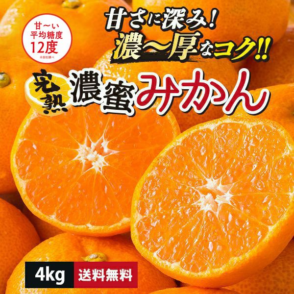 熊本県産　完熟濃蜜みかん 約4kg（25～70玉入り ２Ｓ～２Lサイズ）【送料無料】