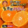 熊本県産　完熟濃蜜みかん 約4kg（25～70玉入り ２Ｓ～２Lサイズ）【送料無料】