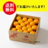 熊本県産　完熟濃蜜みかん 約4kg（25～70玉入り ２Ｓ～２Lサイズ）【送料無料】