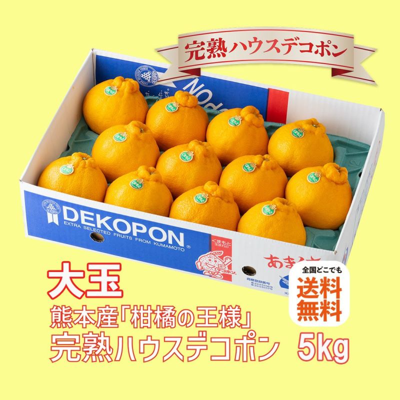 濃厚◎九州産 不知火 デコポン 訳あり 5kg みかん 好きにもa 果物 甘~い◎訳あり ハウスみかん 5kg e