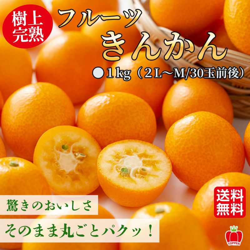  樹上完熟　フルーツきんかん　１ｋｇ≪専用箱入≫