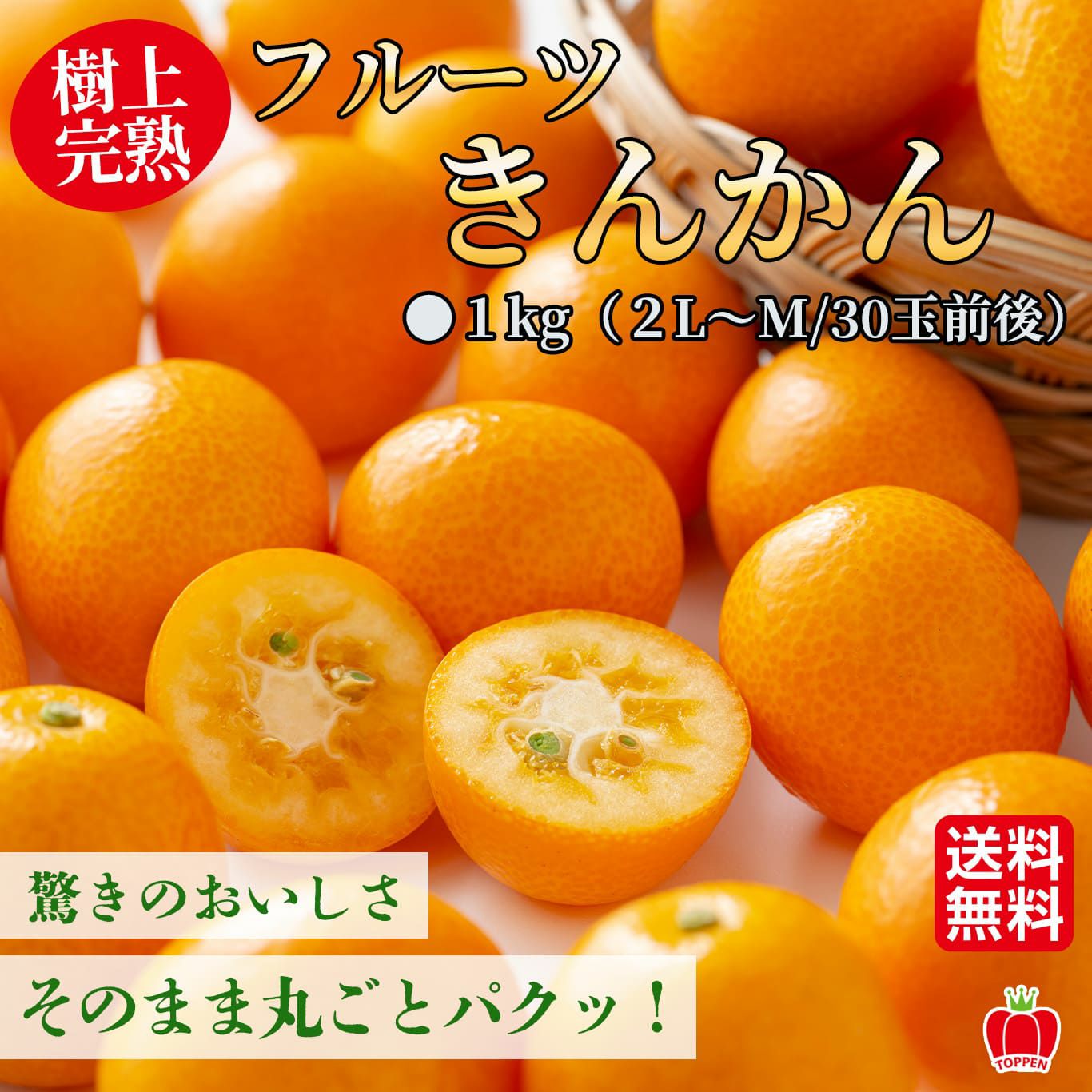  樹上完熟　フルーツきんかん　１ｋｇ≪専用箱入≫