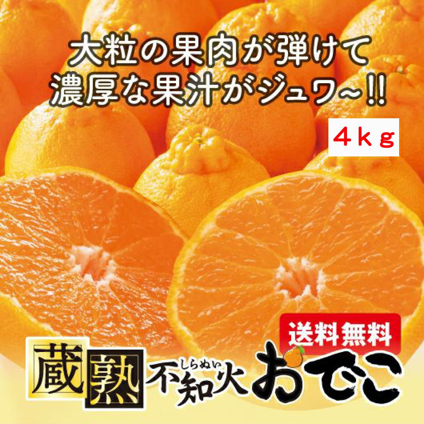 蔵熟不知火おでこ 約4kg（15～22玉入り）【送料無料】